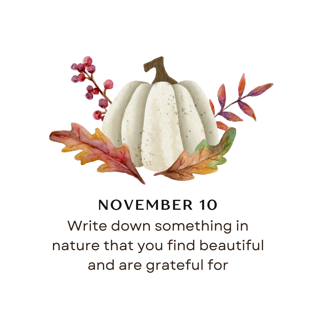 NOVEMBER 10 - Write down something in nature that you find beautiful and are grateful for