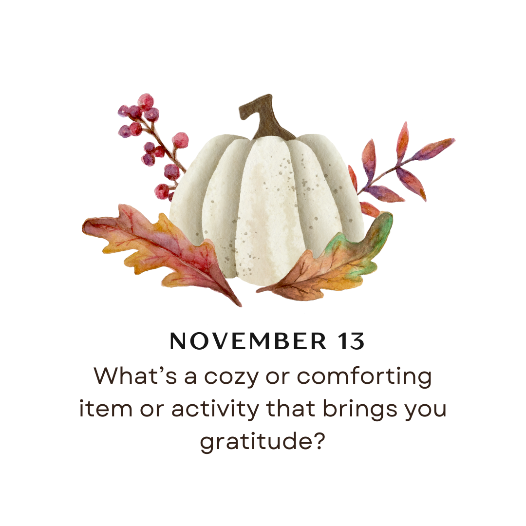 NOVEMBER 13 - What's a cozy or comforting item or activity that brings you gratitude? 