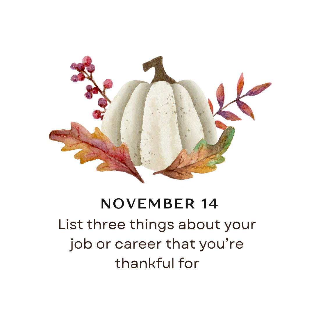 NOVEMBER 14 - List three things about your job or career that you're thankful for